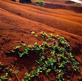 国产类魂动作RPG《明末：渊虚之羽》新预告发布